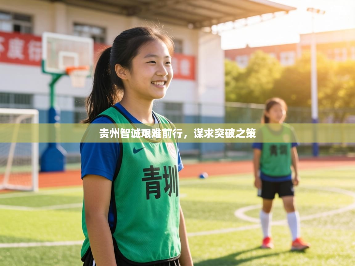 贵州智诚艰难前行，谋求突破之策